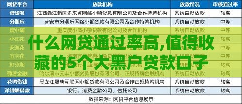 什么网贷通过率高,值得收藏的5个大黑户贷款口子