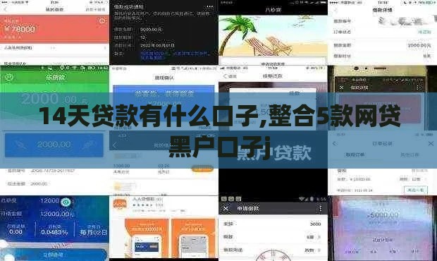14天贷款有什么口子,整合5款网贷黑户口子j