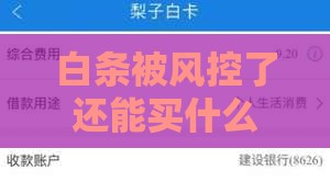 白条被风控了还能买什么,简单汇总5个黑户网贷口子教学