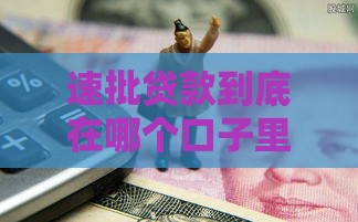 速批贷款到底在哪个口子里？这5个渠道靠谱又省心！