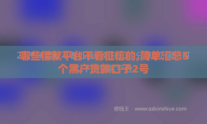 哪些借款平台不看征信的,简单汇总5个黑户贷款口子2号