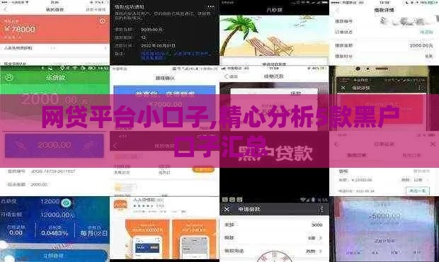 网贷平台小口子,精心分析5款黑户口子汇总