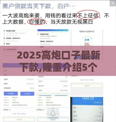 2025高炮口子最新下款,隆重介绍5个哪里有黑户的口子