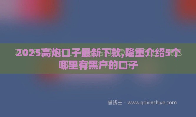 2025高炮口子最新下款,隆重介绍5个哪里有黑户的口子