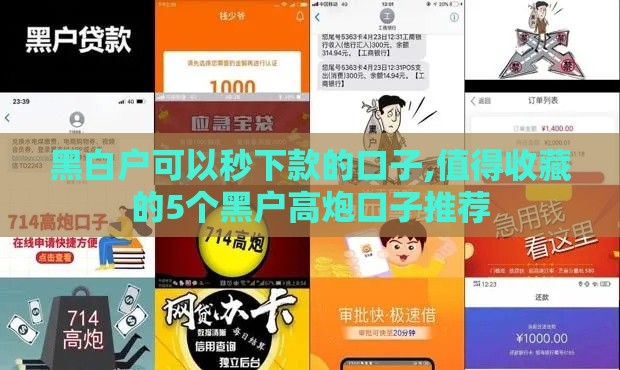 黑白户可以秒下款的口子,值得收藏的5个黑户高炮口子推荐