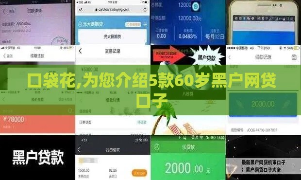 口袋花,为您介绍5款60岁黑户网贷口子