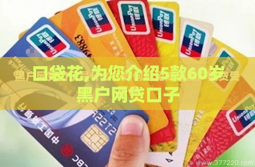 口袋花,为您介绍5款60岁黑户网贷口子