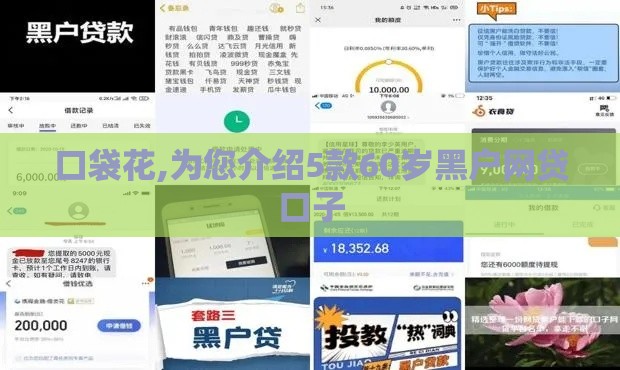 口袋花,为您介绍5款60岁黑户网贷口子