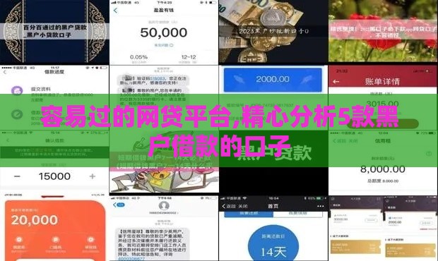 容易过的网贷平台,精心分析5款黑户借款的口子
