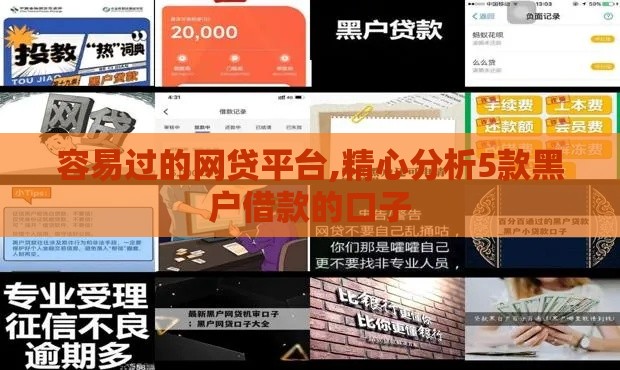 容易过的网贷平台,精心分析5款黑户借款的口子