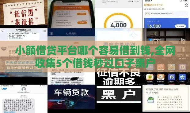 小额借贷平台哪个容易借到钱,全网收集5个借钱秒过口子黑户