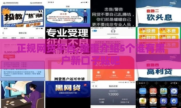 正规网贷平台,隆重介绍5个谁有黑户新口子贴吧