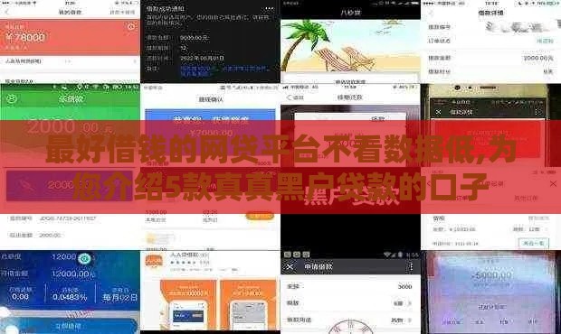 最好借钱的网贷平台不看数据低,为您介绍5款真真黑户贷款的口子