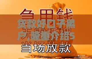 贷款好口子黑户,隆重介绍5个黑户息款口子