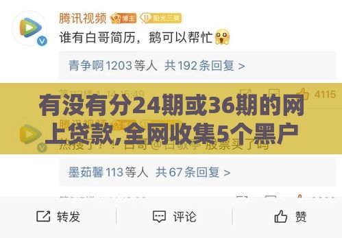 有没有分24期或36期的网上贷款,全网收集5个黑户就能贷款的口子