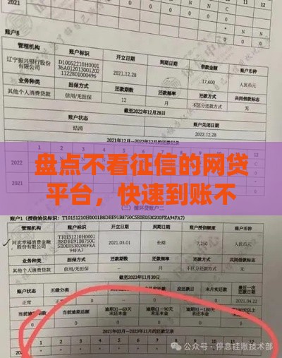 盘点不看征信的网贷平台，快速到账不踩坑