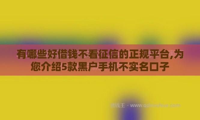 有哪些好借钱不看征信的正规平台,为您介绍5款黑户手机不实名口子