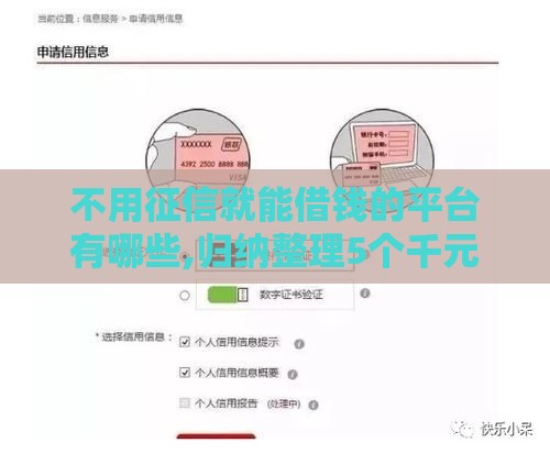 不用征信就能借钱的平台有哪些,归纳整理5个千元黑户能下的口子