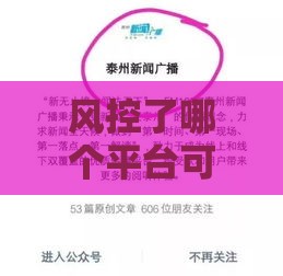 风控了哪个平台可以借钱,真心推荐5个贷款黑户口子17