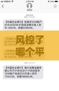风控了哪个平台可以借钱,真心推荐5个贷款黑户口子17