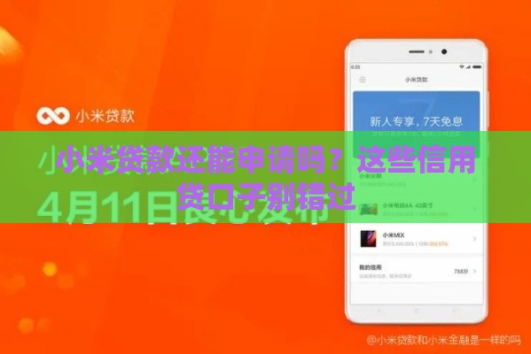 小米贷款还能申请吗？这些信用贷口子别错过