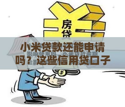 小米贷款还能申请吗？这些信用贷口子别错过