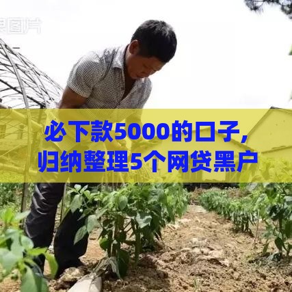 必下款5000的口子,归纳整理5个网贷黑户口子q