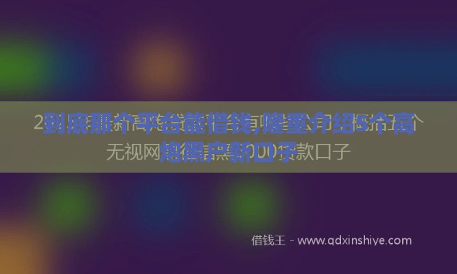 到底那个平台能借钱,隆重介绍5个高炮黑户新口子