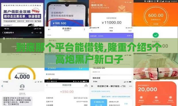 到底那个平台能借钱,隆重介绍5个高炮黑户新口子