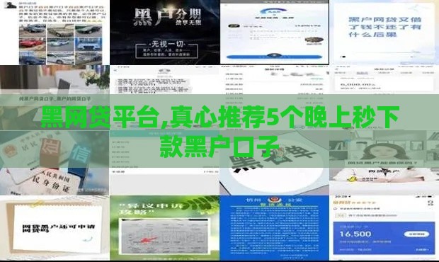 黑网贷平台,真心推荐5个晚上秒下款黑户口子