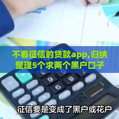 不看征信的贷款app,归纳整理5个求两个黑户口子