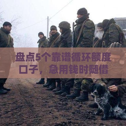 盘点5个靠谱循环额度口子，急用钱时随借随还！