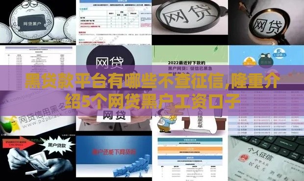 黑贷款平台有哪些不查征信,隆重介绍5个网贷黑户工资口子
