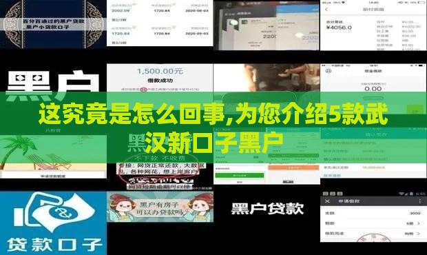 这究竟是怎么回事,为您介绍5款武汉新口子黑户