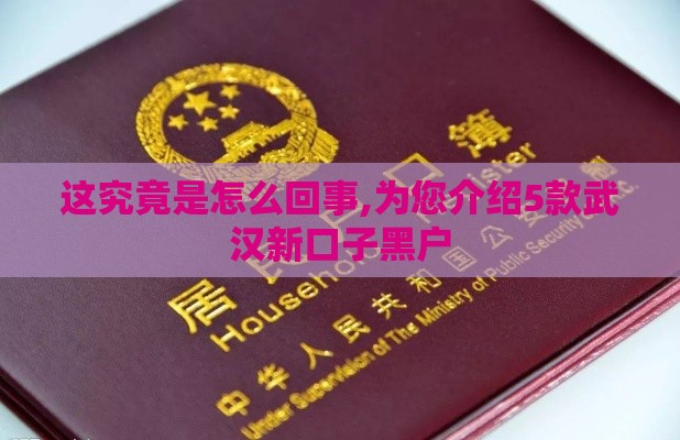 这究竟是怎么回事,为您介绍5款武汉新口子黑户