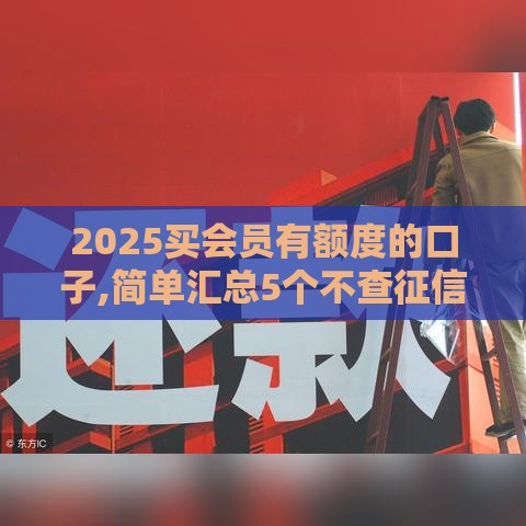 2025买会员有额度的口子,简单汇总5个不查征信黑户口子