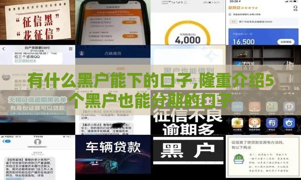 有什么黑户能下的口子,隆重介绍5个黑户也能分期的口子