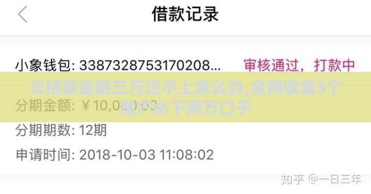 欠招联金融三万还不上怎么办,全网收集5个黑户必下两万口子