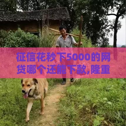 征信花秒下5000的网贷哪个还能下款,隆重介绍5个好下款的黑户新口子