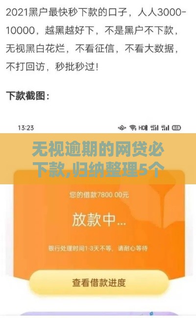 无视逾期的网贷必下款,归纳整理5个黑户贷款口子最新 无视逾期的网贷必下款,归纳整理5个黑户贷款口子最新