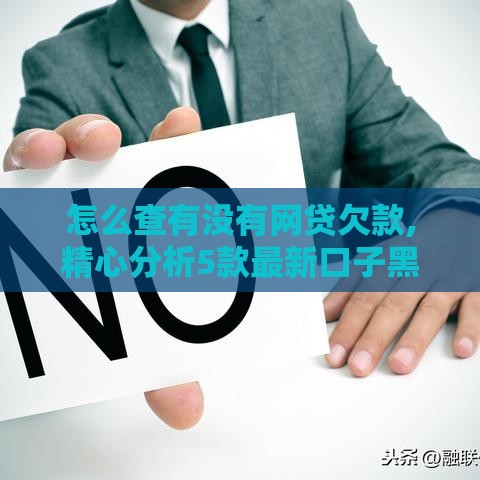怎么查有没有网贷欠款,精心分析5款最新口子黑户福利