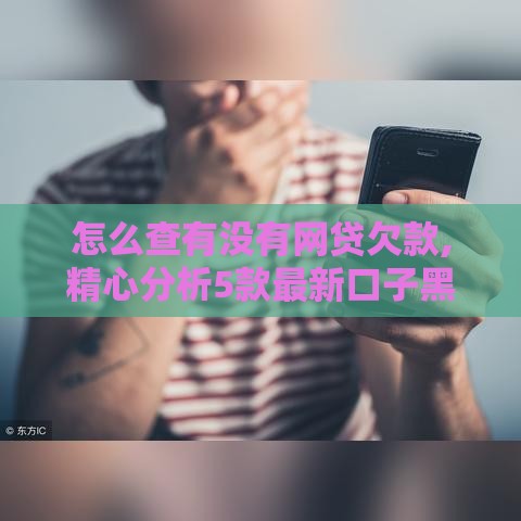 怎么查有没有网贷欠款,精心分析5款最新口子黑户福利