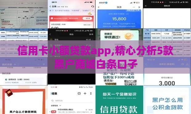 信用卡小额贷款app,精心分析5款黑户商城白条口子