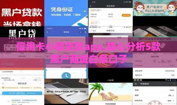 信用卡小额贷款app,精心分析5款黑户商城白条口子