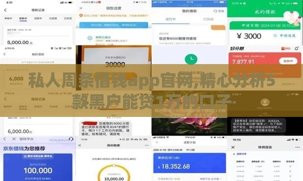 私人周条借钱app官网,精心分析5款黑户能贷1万的口子