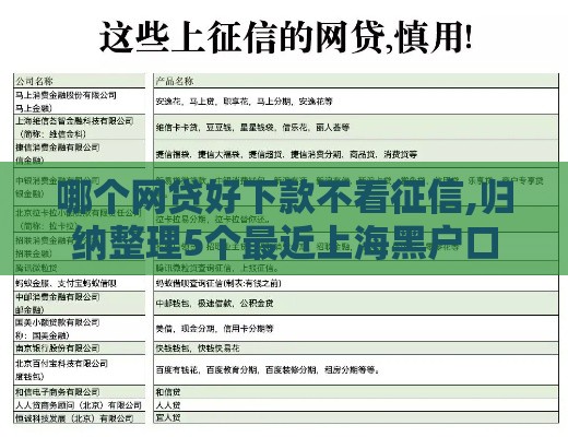 哪个网贷好下款不看征信,归纳整理5个最近上海黑户口子