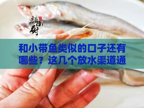 和小带鱼类似的口子还有哪些？这几个放水渠道通过率高