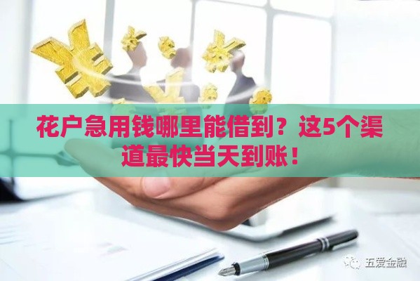 花户急用钱哪里能借到？这5个渠道最快当天到账！
