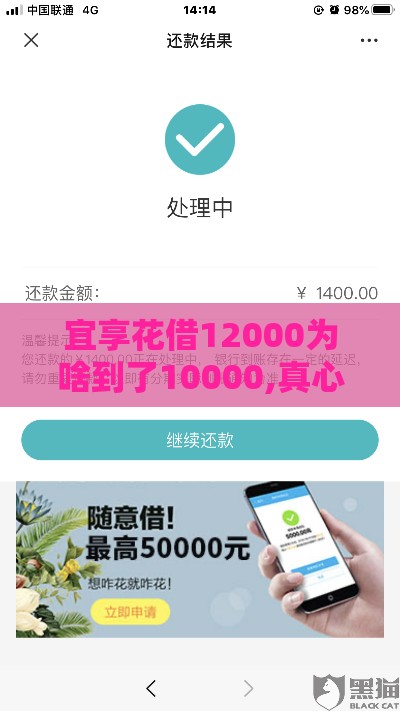宜享花借12000为啥到了10000,真心推荐5个黑户下款口子安卓版