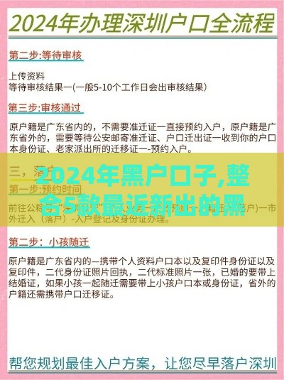 2024年黑户口子,整合5款最近新出的黑户口子